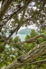 Fototapeta premium Beautiful bay, protruding cliffs. View from a mountain trail off the Black Sea coast, Novyi Svet village, Crimea