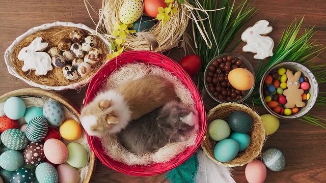 Easter bunny in basket with colorful eggs on wooden table. Easter holiday decorations, Easter concept background.