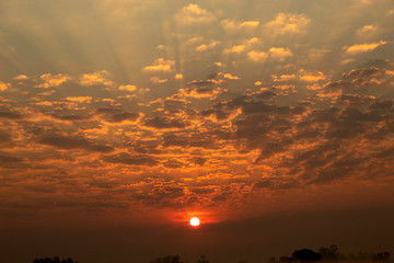 sunset over the field ,nature fog over garden