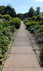 A straight paved pathway through a garden with flowers and greenery on either side