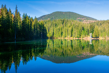 mountain lake among the coniferous forest. morning nature scenery with reflections in calm water. sunny weather with blue cloudless sky in springtime. location Synevyr national park, ukraine