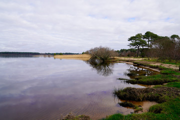 sunrise sand beach in french lake of Sanguinet landes France