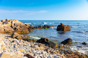 rocky sea coast in the morning. calm sunny weather