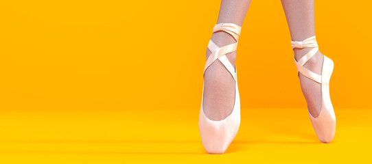 3D Ballerina legs in light classic pointe shoes.