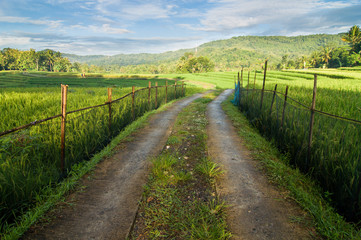 road in the countryside