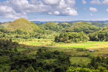 Fototapeta na wymiar Landscape of Chocolate Hills, Bohol's most famous tourist attraction, Philippines