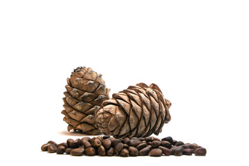 2 pinecones and nuts