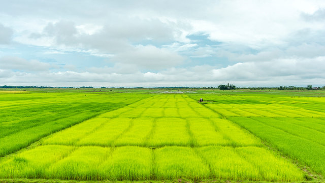 Bangladesh 