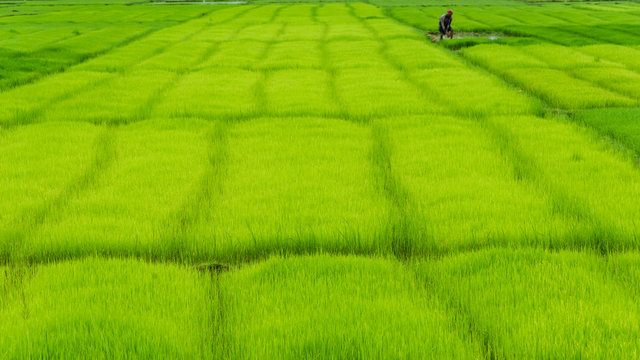Bangladesh 