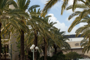 Modern urban environment in Israel