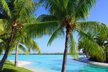 View of a tropical landscape with palm trees, white sand and the turquoise lagoon water in Bora...