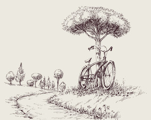 Park landscape sketch, an alley and a bike near a tree - 321680732