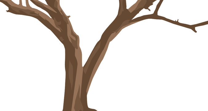 Tree Branch Cartoon Images – Browse 145,095 Stock Photos, Vectors, and  Video | Adobe Stock