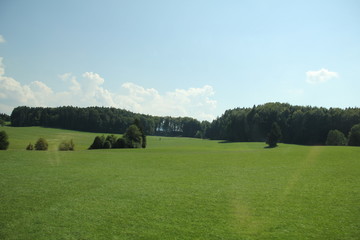 Fototapeta na wymiar green field with trees