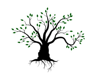 Trees with green leaves look beautiful and refreshing.Tree and roots LOGO style.