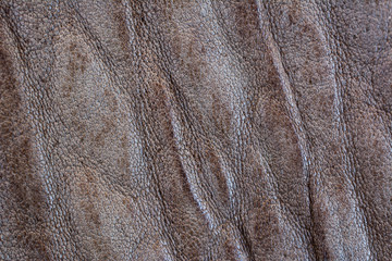 Texture of leather jacket photographed with macro lens.