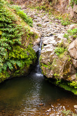 View of the water cascade in Ribeira dos Caldeiroes Natural Park, Nordeste, Sao Miguel island, Azores, Portugal