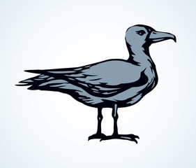 Vulture. Vector drawing icon sign