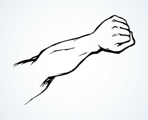 Hand with an elongated fist. Vector drawing