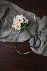 Small Bouquet of Fresh Cut Paperwhite Narcissus tied with Green Ribbon on Green Fabric on Wood Tabletop; Scissors in Background