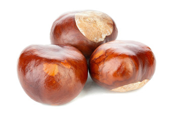 Mature chestnuts