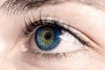 Fototapeta premium Flag of new hampshire state of the United States of America reflects in a man brown eye - election, sport, hope, young, generation, american football, basket 