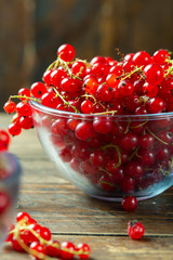 Ripe red currant in a glass plate, place for text, top view