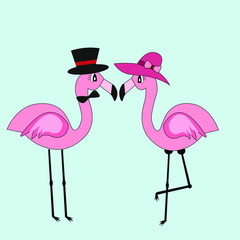 flamingo illustration vector