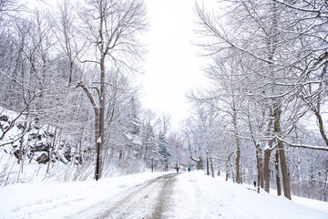 Montreal in winter from Mont Royal, Canada