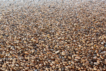 Many brown sea pebbles
