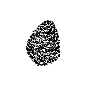 Hand drawn pinecone vector illustration. Linocut pine or fir cone decorative graphic image. Stylized modern monochrome black isolated on white background