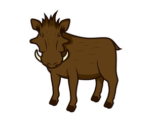 Detailed Wild Boar with Big Horns Illustration