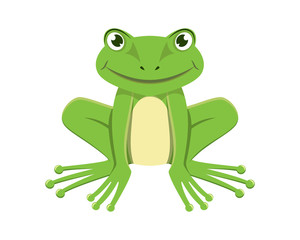 Detailed Smiling Green Frog Illustration with Cartoon Style