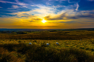 sunset in the countryside