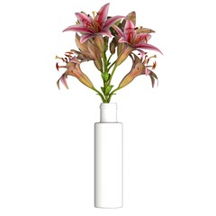 Flowers in a vase on a white background. Isolate.