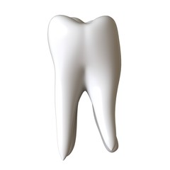 A man's root tooth on a white background. Isolate.