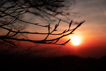 Sunset silhoutette