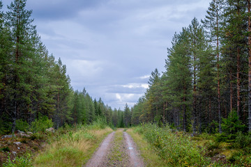 Finland. View of a scenic road passing through a forest. Beautiful Scandinavian landscape.
