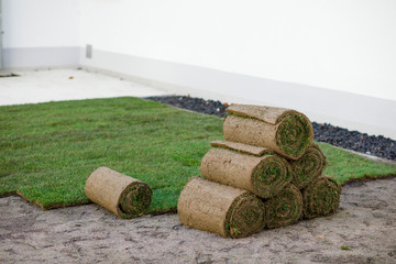 reating a new lawn with rolled grass, lawn with rolled grass