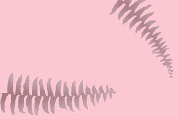 Wall pink leaf plant shadow background. Flat lay pastel color.