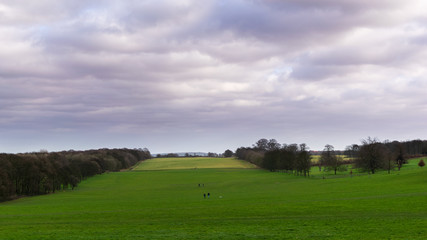 Fototapeta na wymiar landscape with green field and cloudy sky