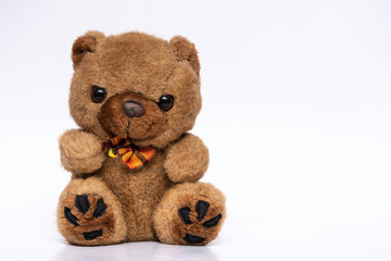 brown teddy bear on white background
