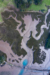 Marsh at low tide, Natural Park of the Dunes of Liencres, Liencres, Piélagos Municipality, Cantabrian Sea, Cantabria, Spain, Europe