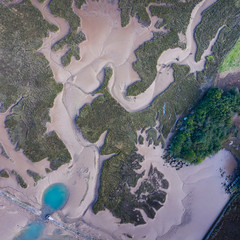 Marsh at low tide, Natural Park of the Dunes of Liencres, Liencres, Piélagos Municipality, Cantabrian Sea, Cantabria, Spain, Europe