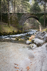 beautiful source of kamniska bistrica, slovenia, with a bridge