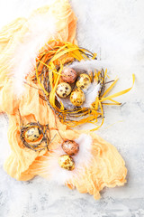 Easter Eggs in bird Nest. Quail easter eggs with feathers in nest on white table with copy space.