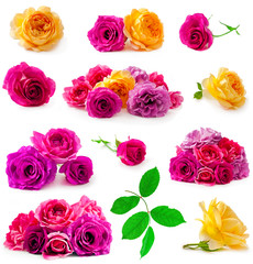 Collection of yellow and pink rose flowers with leaves isolated on a white background.