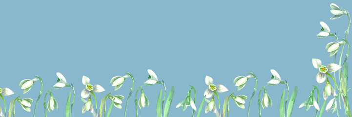 Background of snowdrops on a blue-gray background