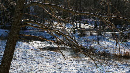 The first snow in the forest on the river.