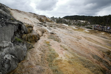 Fototapeta na wymiar Yellow Stone Nationalpark Wyoming Mammoth Hot Springs